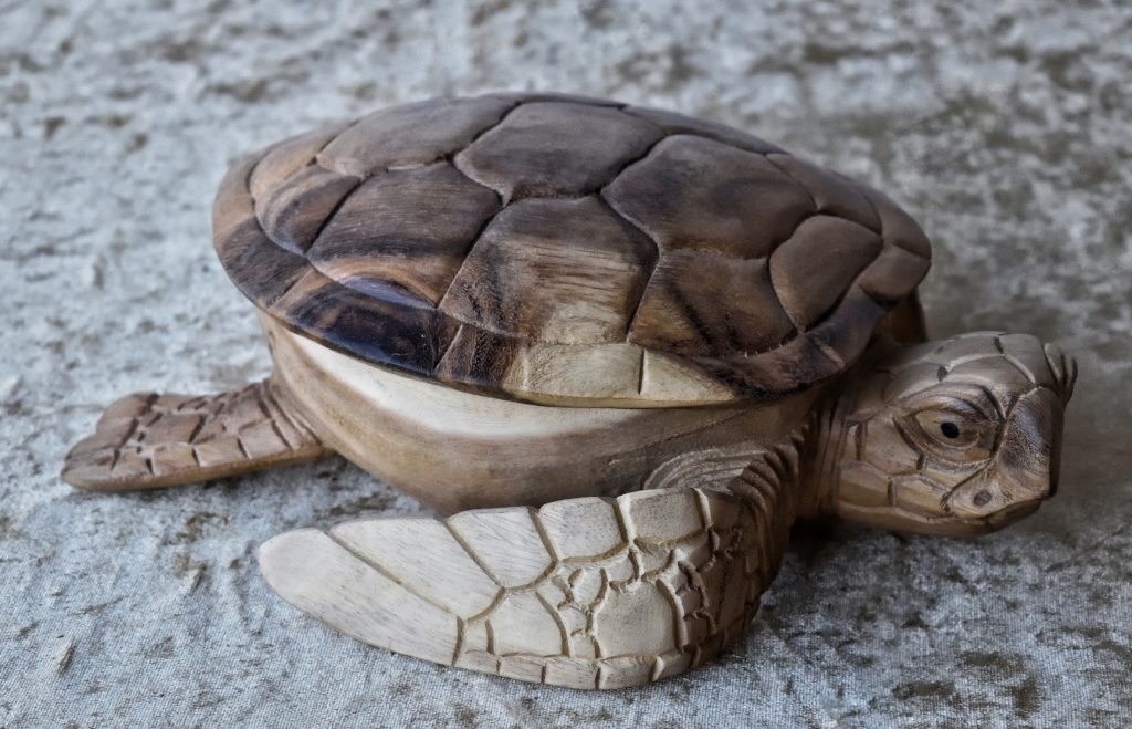 Boite en forme  de tortue marine en bois de suar 17cm LES 